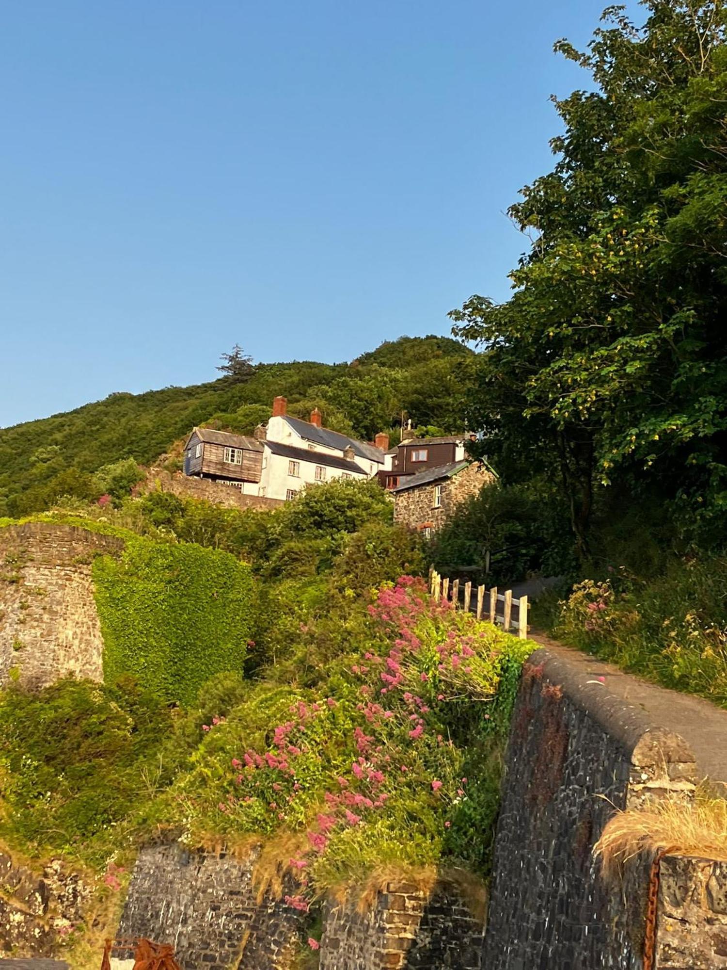 Cosy Boathouse Cottage By The Sea With Log Burner Bucks Mills Exterior foto